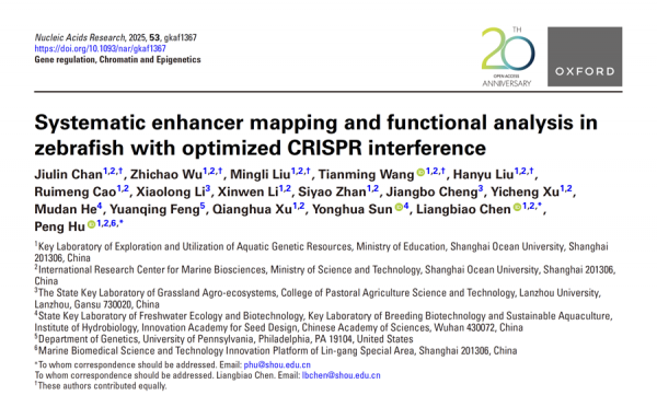 申城科研团队找出调控鱼类性状发育的“掩蔽按钮”，以前鱼类育种或有大不同！